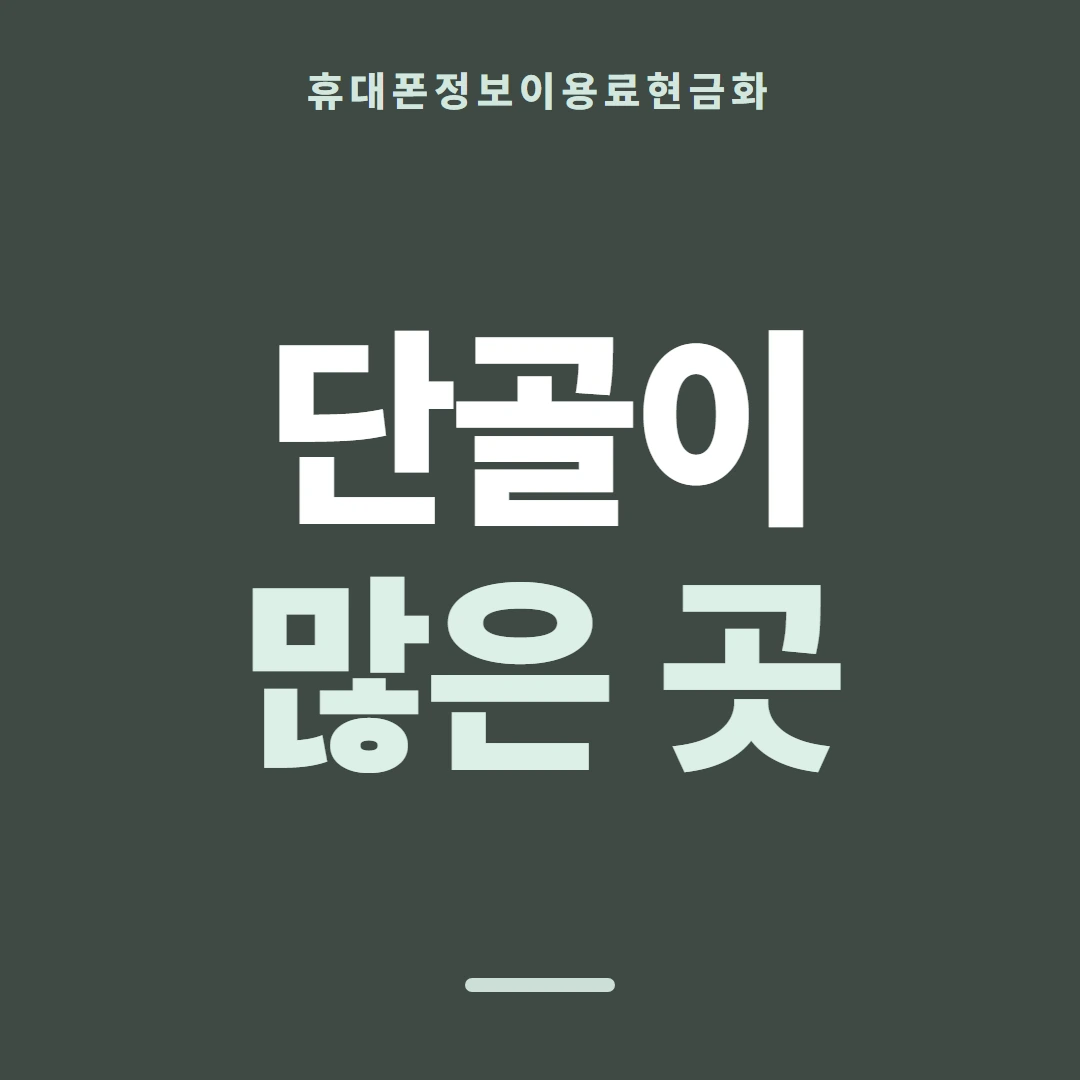 품티켓 휴대폰 회선의 정보이용료현금화 금액을 정하는 근거 안내 이미지